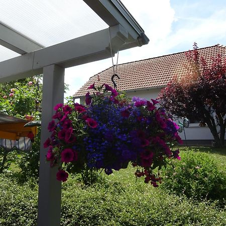 Ferienwohnung Relax 일젠부르크 외부 사진