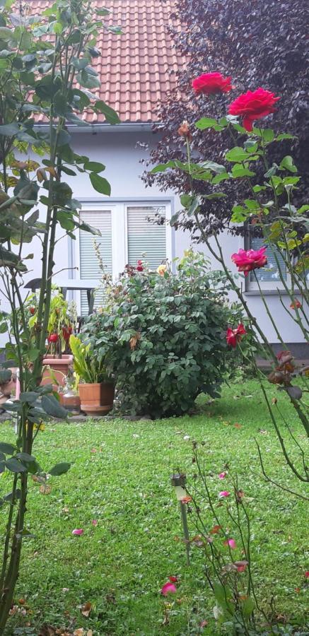 Ferienwohnung Relax 일젠부르크 외부 사진